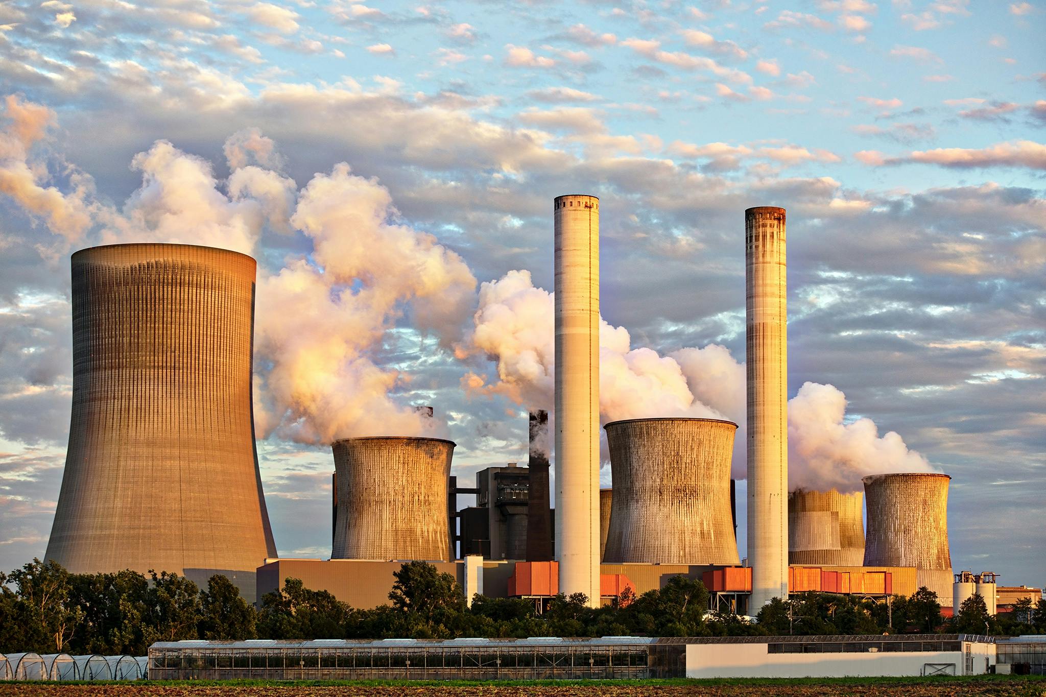 Neutralização de Carbono